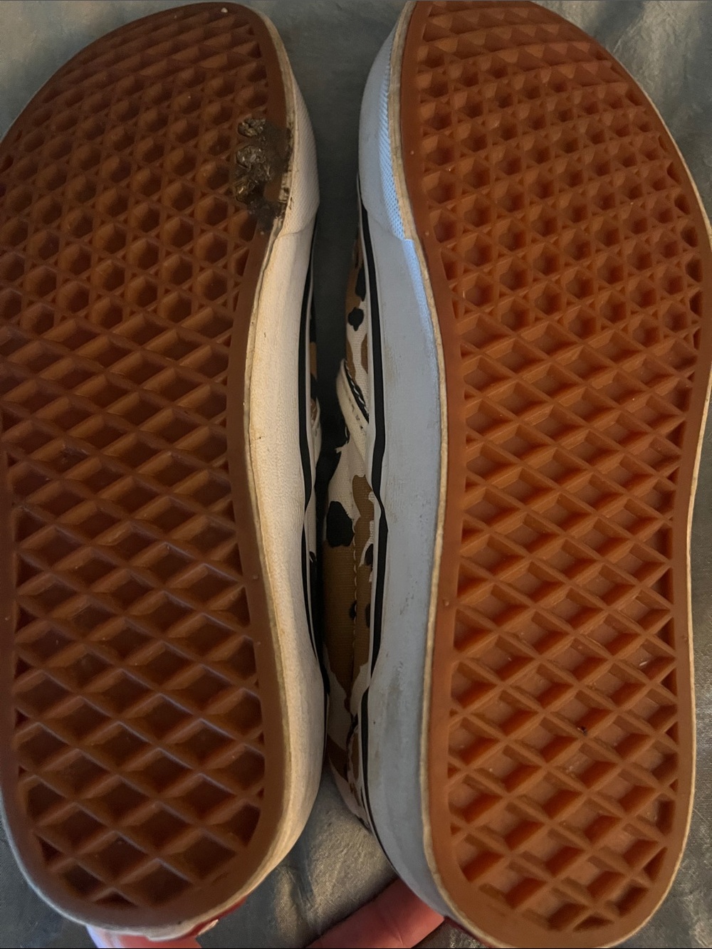 Printed vans - Picture 4 of 6